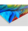 Foam Kapa Cartón pluma