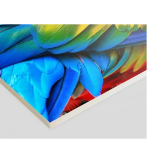 Foam Kapa Cartón pluma