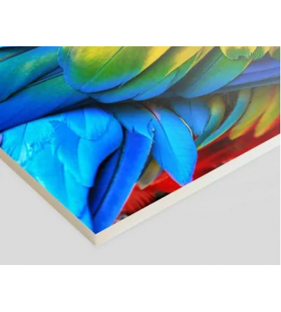 Foam Kapa Cartón pluma
